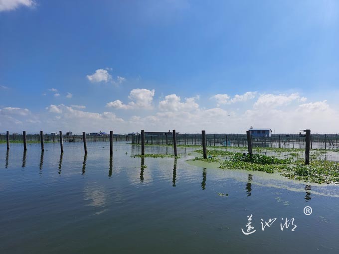 阳澄湖上水晶天（图片）