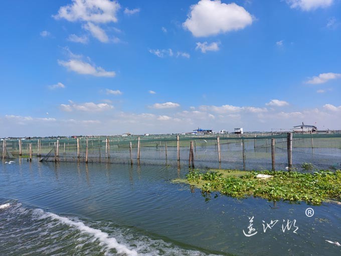 阳澄湖上水晶天（图片）