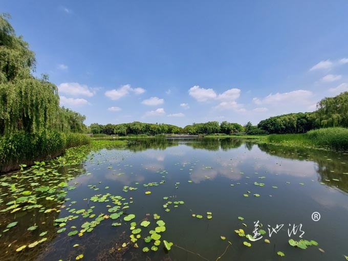阳澄湖半岛莲池湖公园