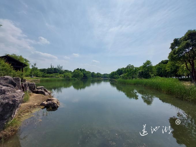 阳澄湖半岛仙樱花湖公园