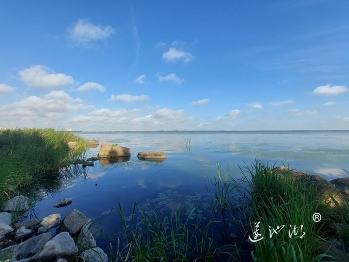 【阳澄湖畔】阳澄湖生态湿地的早晨