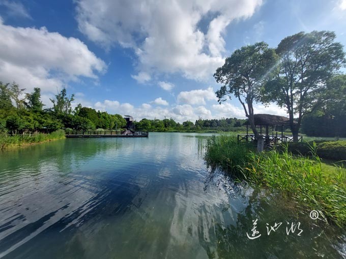 【阳澄湖畔】巴城夕鹭园的风景