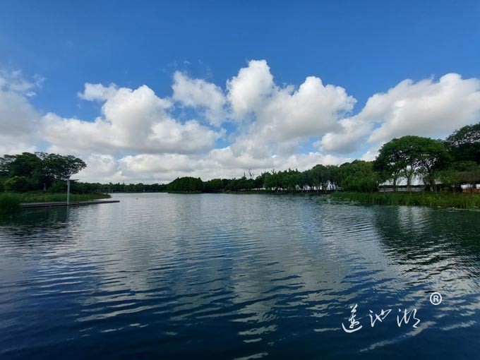 【阳澄湖畔】巴城夕鹭园的风景