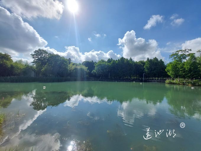 【阳澄湖畔】巴城夕鹭园的风景