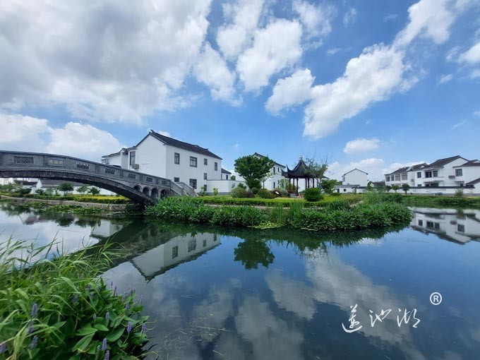 【阳澄湖畔】武神潭村的风景