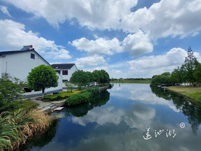 【阳澄湖畔】武神潭村的风景