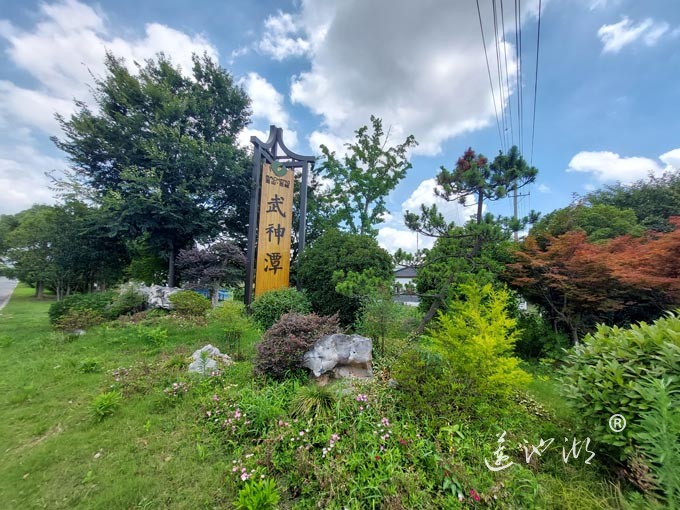 【阳澄湖畔】武神潭村的风景