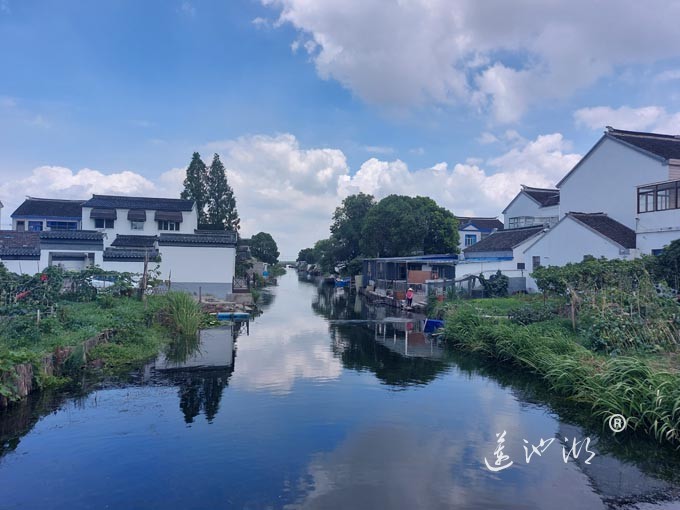 【阳澄湖畔】美人腿的风景