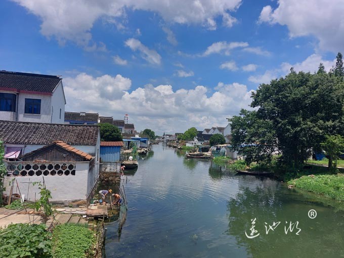 【阳澄湖畔】美人腿的风景