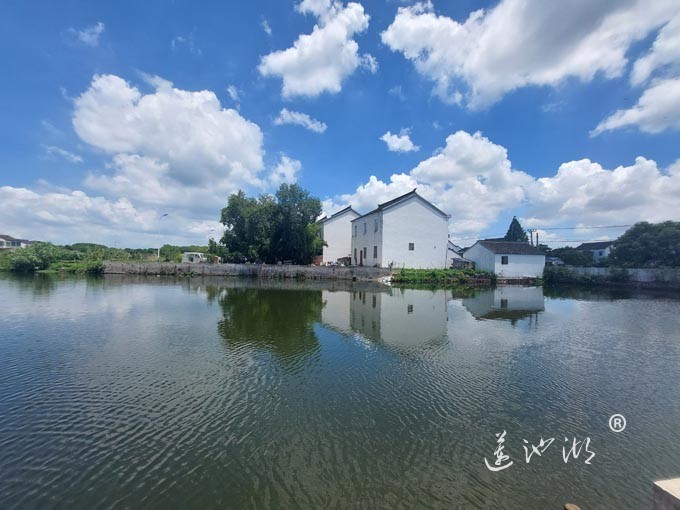 【阳澄湖畔】美人腿的风景
