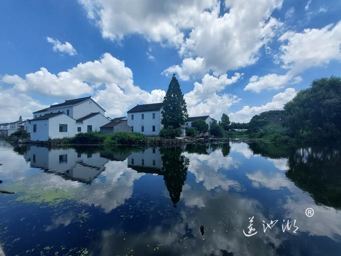 【阳澄湖畔】美人腿的风景