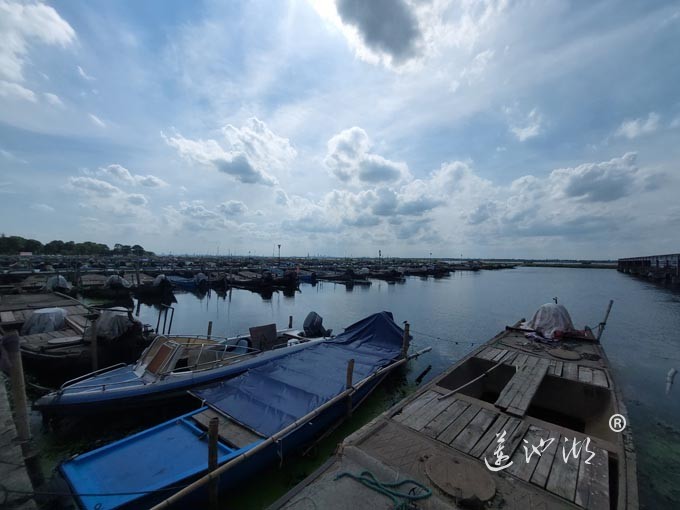 【阳澄湖畔】阳澄湖蟹农码头的风景