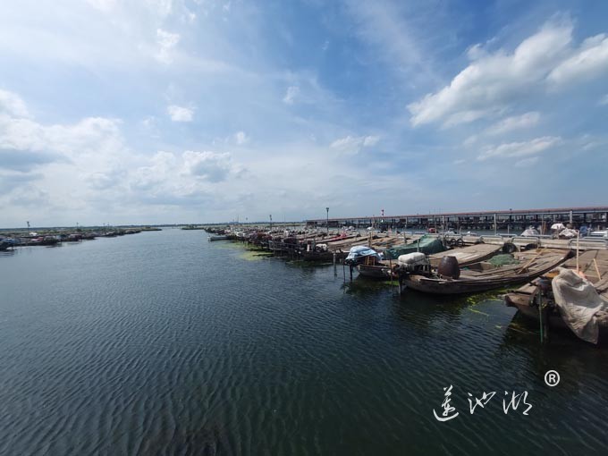 【阳澄湖畔】阳澄湖蟹农码头的风景