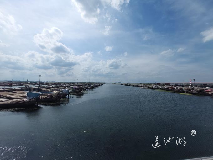 【阳澄湖畔】阳澄湖蟹农码头的风景