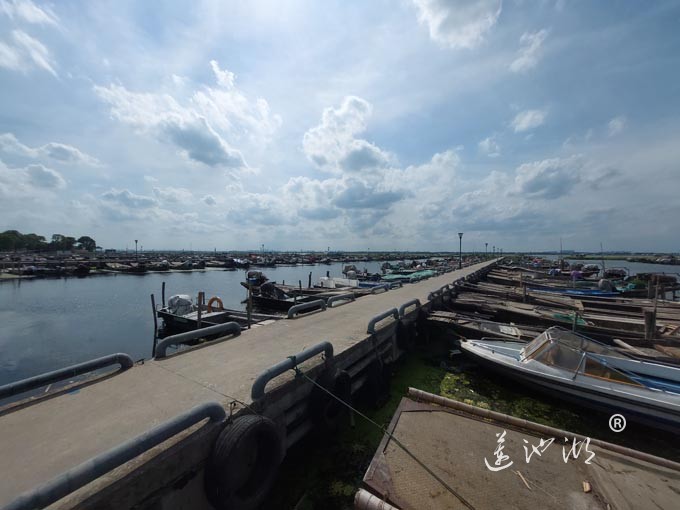 【阳澄湖畔】阳澄湖蟹农码头的风景