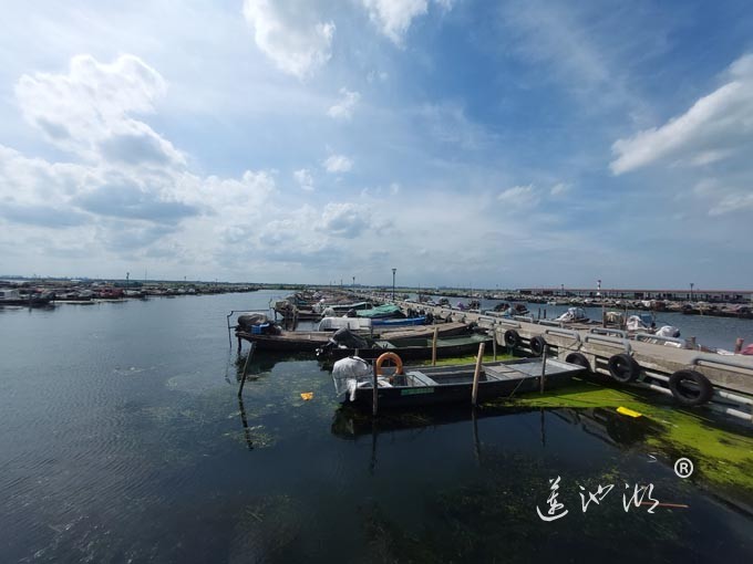 【阳澄湖畔】阳澄湖蟹农码头的风景