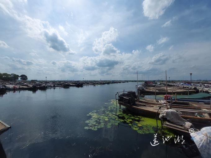 【阳澄湖畔】阳澄湖蟹农码头的风景