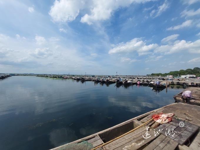 【阳澄湖畔】阳澄湖蟹农码头的风景