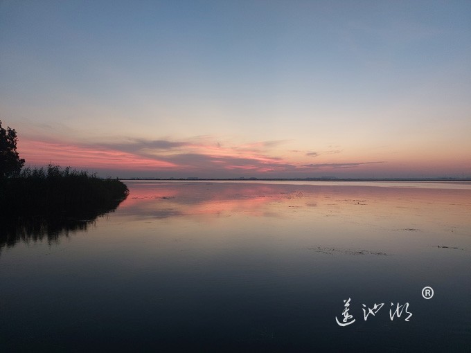 【阳澄湖畔】清晨的阳澄湖半岛