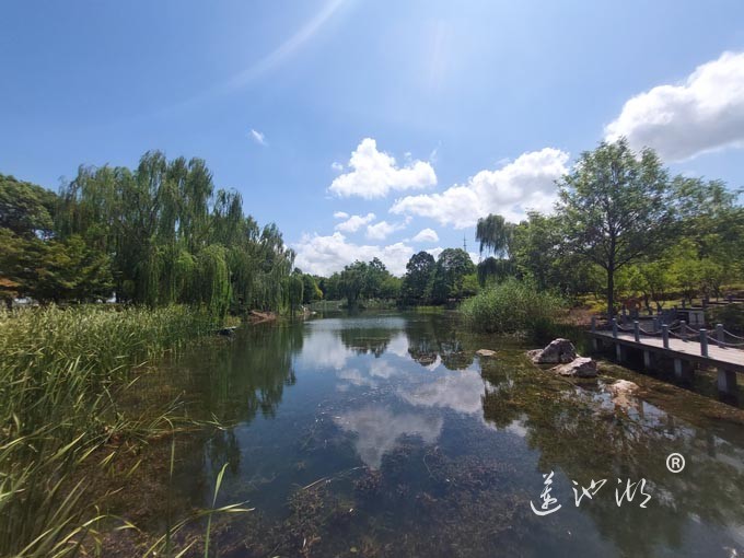 【阳澄湖畔】阳澄湖半岛仙樱湖的风景