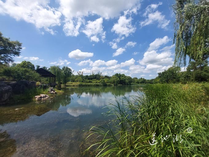 【阳澄湖畔】阳澄湖半岛仙樱湖的风景