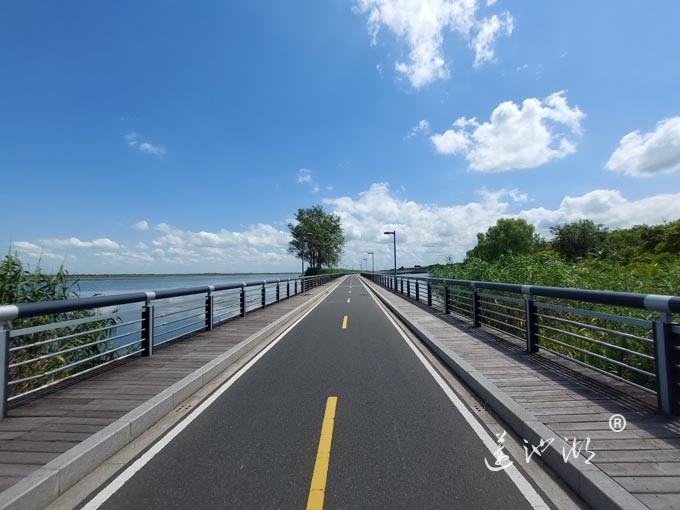 【阳澄湖畔】阳澄湖半岛自行车道的风景