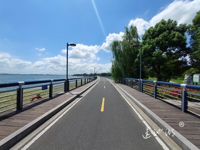 【阳澄湖畔】阳澄湖半岛自行车道的风景