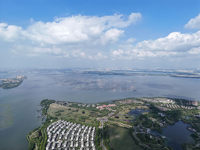 正宗阳澄湖：大闸蟹的故乡