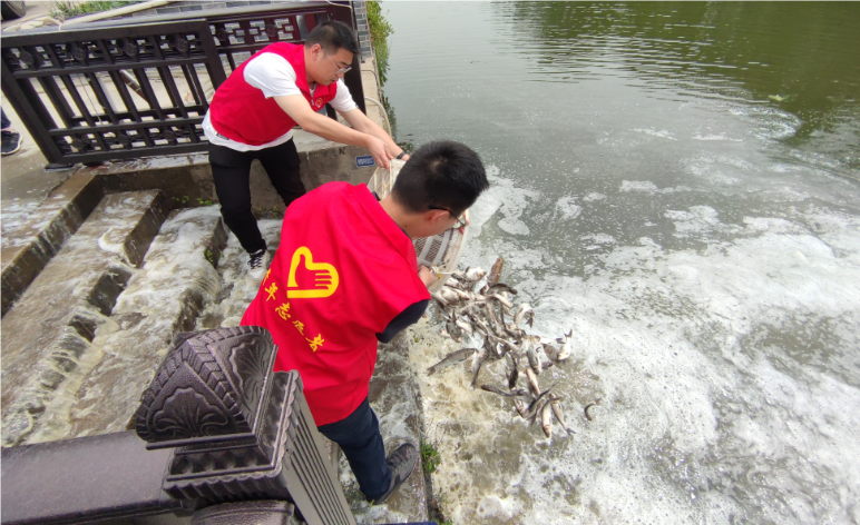 阳澄湖