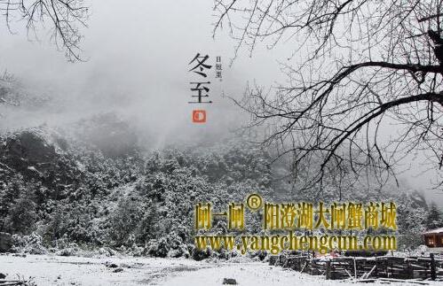 冬至