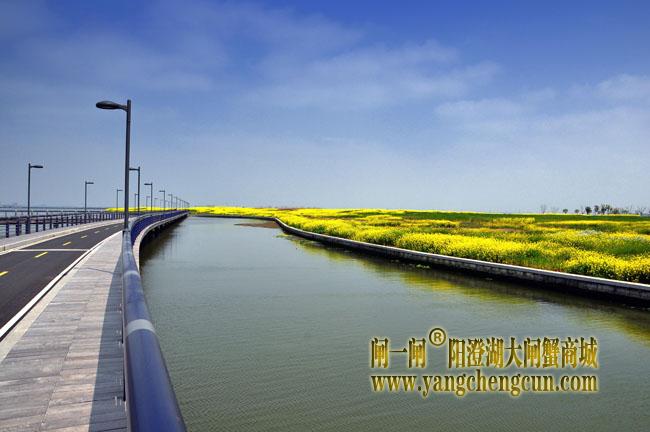 阳澄湖半岛自行车赛道