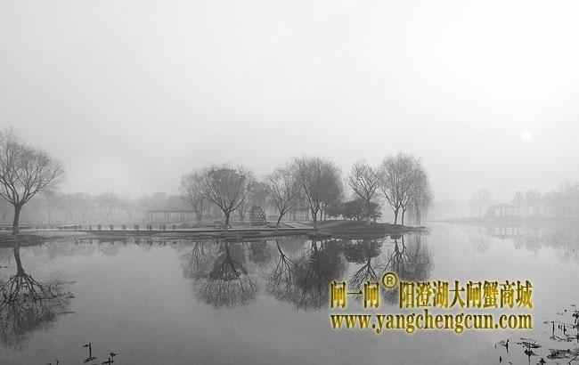 阳澄湖半岛莲池湖公园