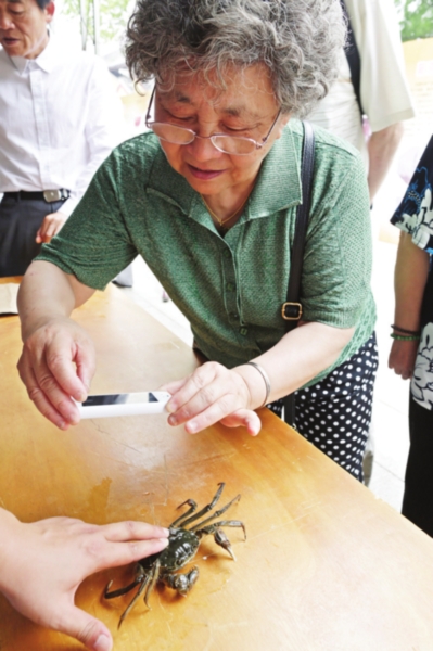 赏阳澄渔歌 品“六月黄”  