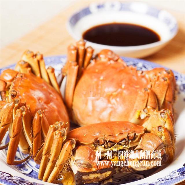 金秋说“蟹经”