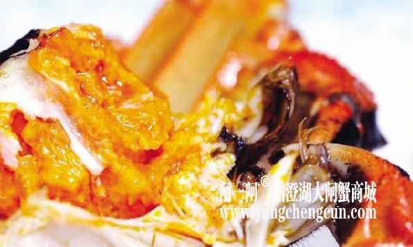 地域品牌：你的自我救赎之路在哪里? 
