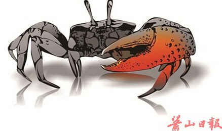 阳澄湖大闸蟹