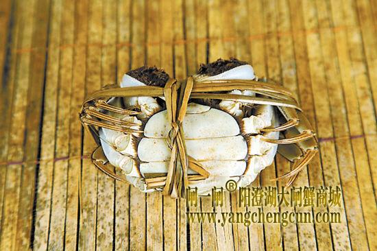 阳澄湖蟹，蟹腹偏白