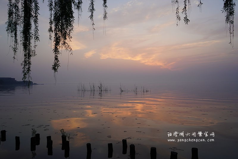阳澄湖半岛看阳澄湖日出
