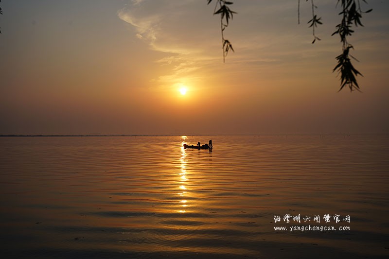 阳澄湖半岛看阳澄湖日出