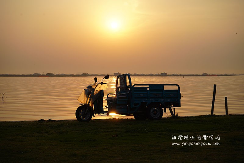 阳澄湖半岛看阳澄湖日出