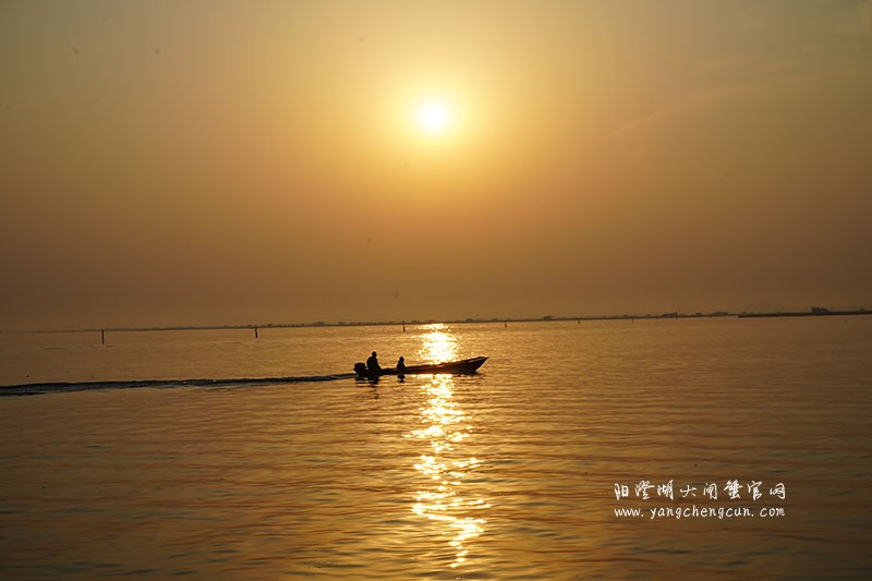 阳澄湖半岛看阳澄湖日出