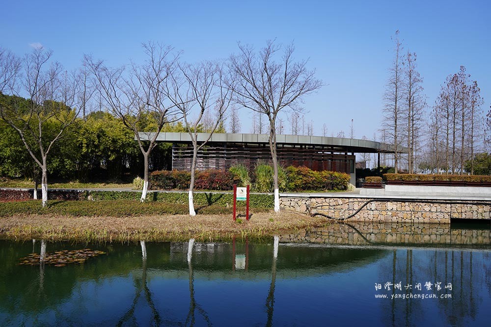 冬日暖阳阳澄湖生态湿地公园