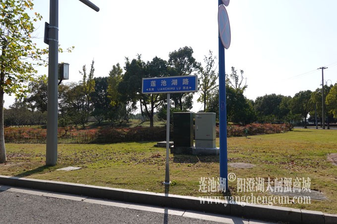 莲池湖路