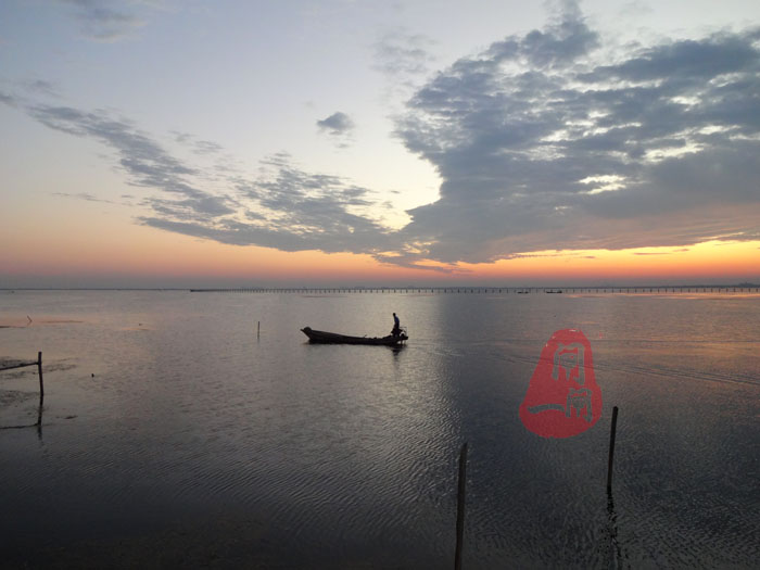 美图欣赏-阳澄湖的早晨-2015-07-31