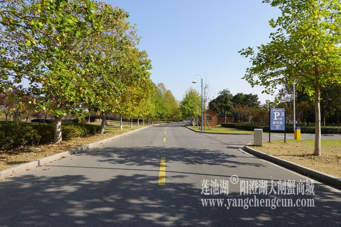 莲池湖路