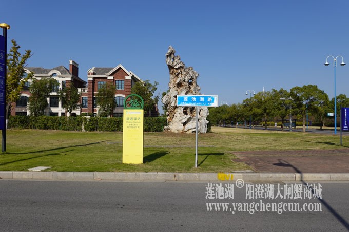 莲池湖路