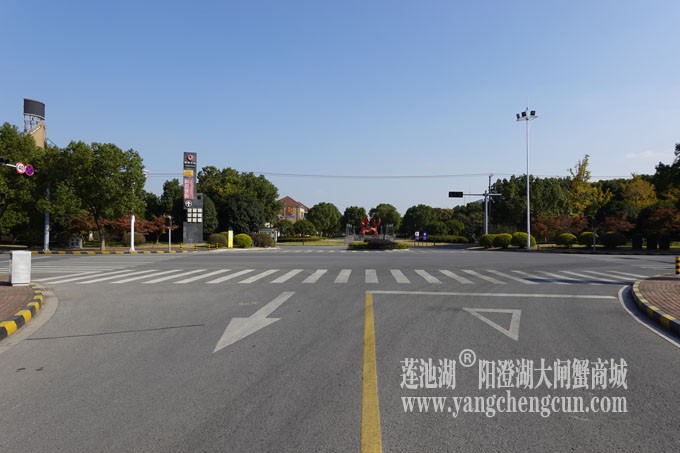 莲池湖路