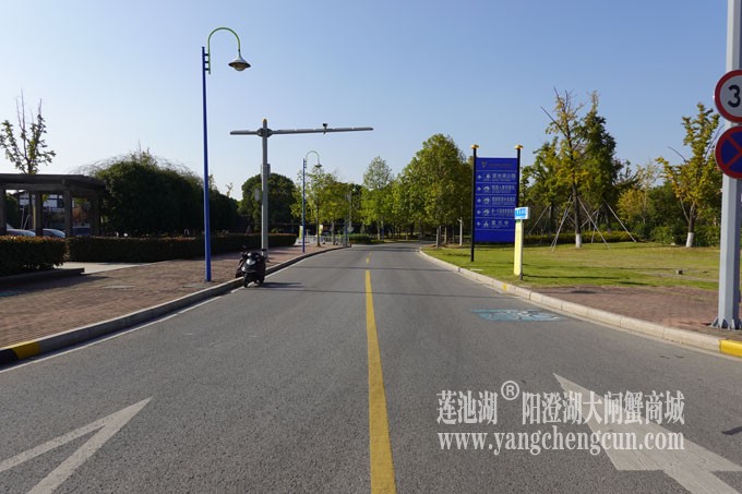 莲池湖路