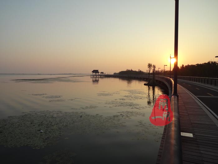 阳澄湖半岛早晨的风景（原创）