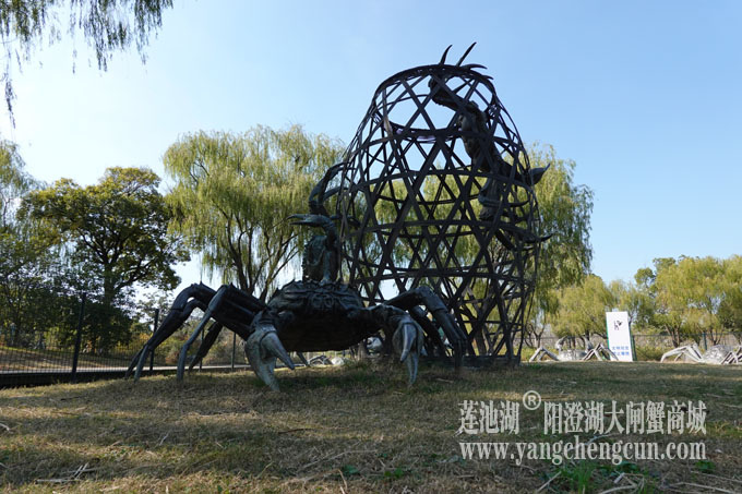 莲池湖大闸蟹